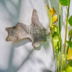 Villa Younique